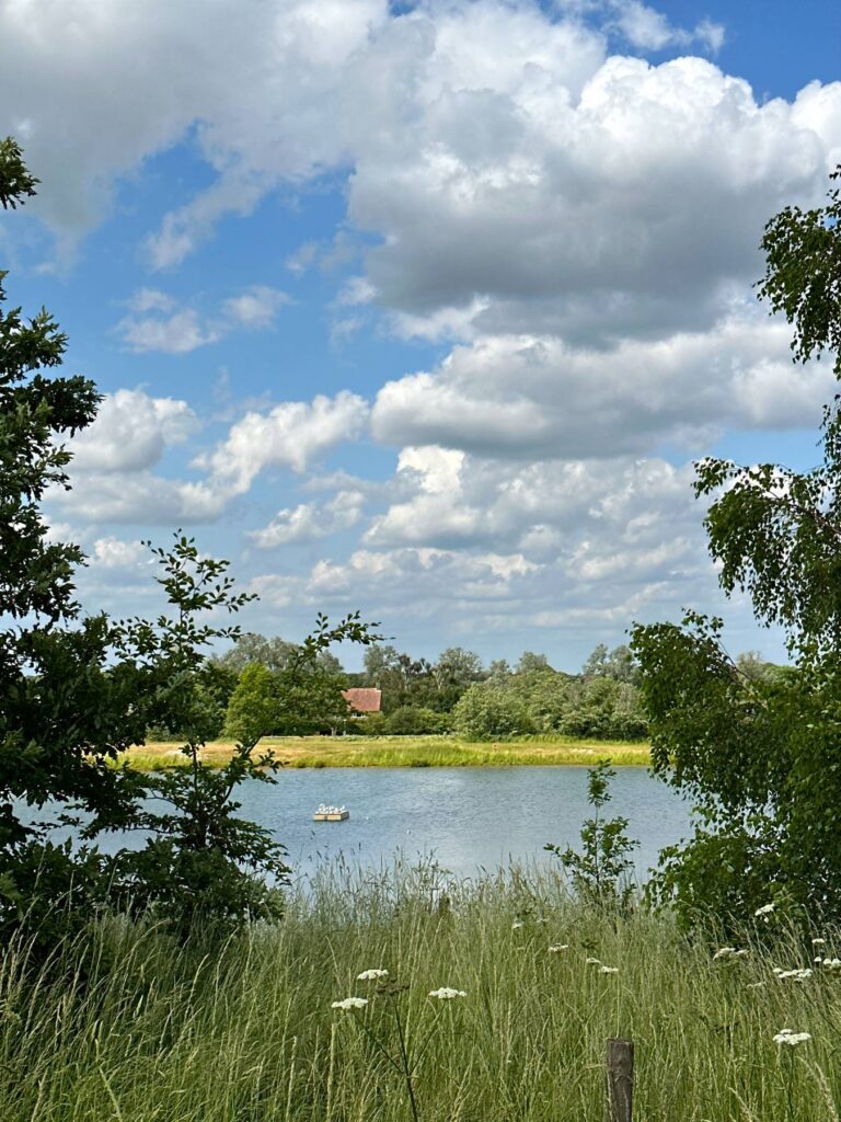 Writtle 9